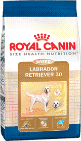 RC LABRADOR RETRIVER 12 кг (для взрослых лабрадоров и голден ретриверов)